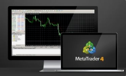 如何选择mt4出租平台出租方